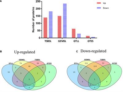 Proteomic Analysis of Stationary Growth Stage Adaptation and Nutritional Deficiency Response of Brucella abortus